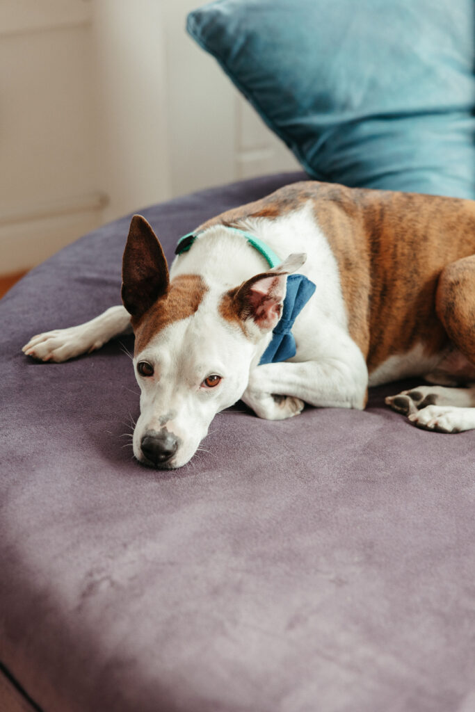 detail wedding photos at Blue Inn on the Beach